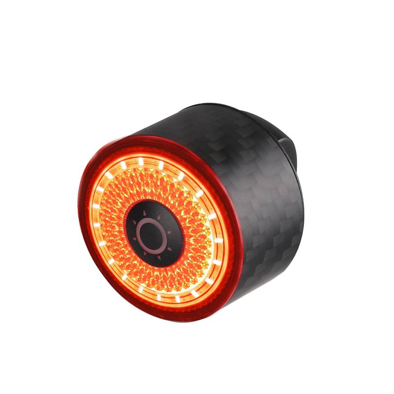 LOOP-100（Carbon fiber housing）